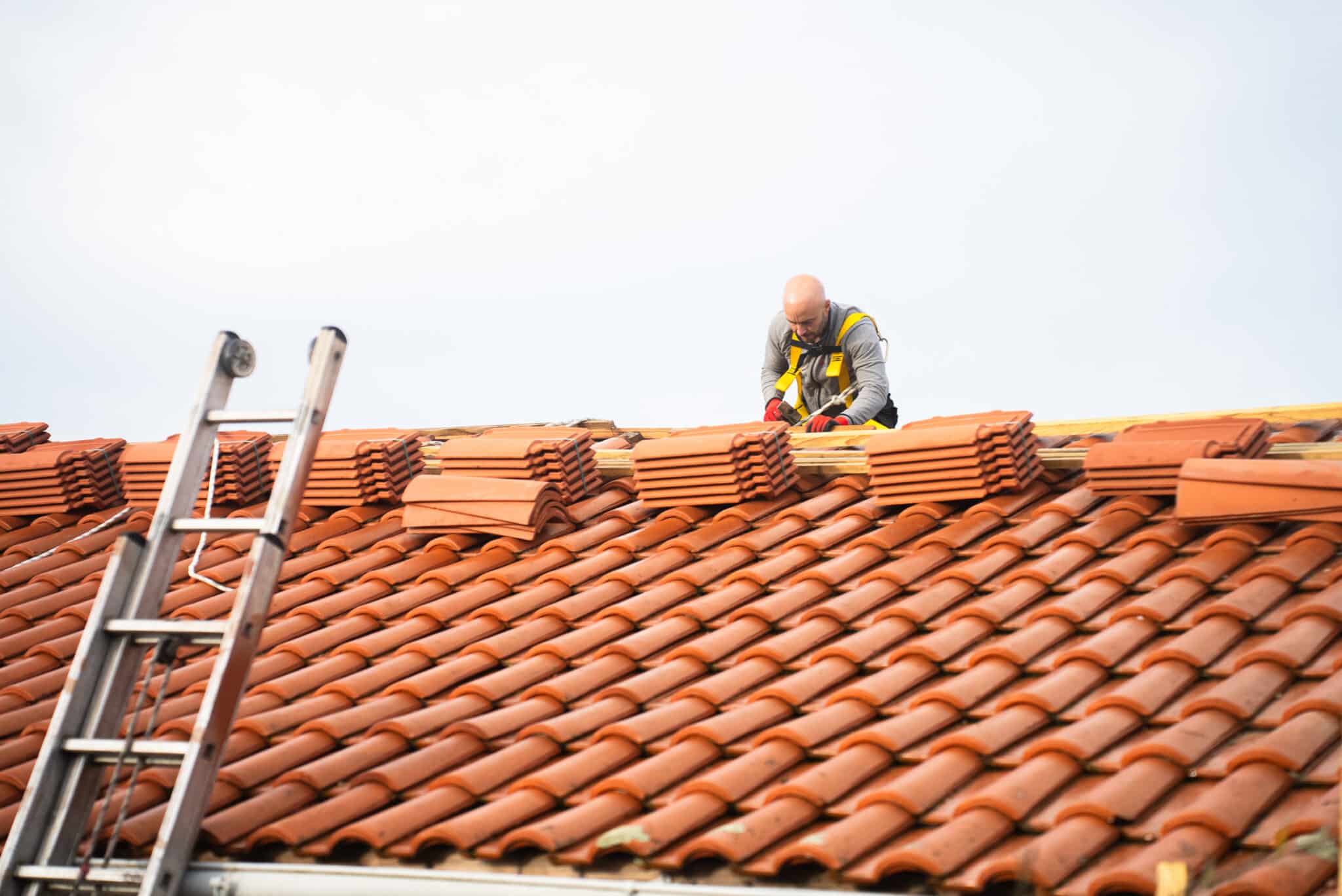 Rénovation et réfection de toiture
