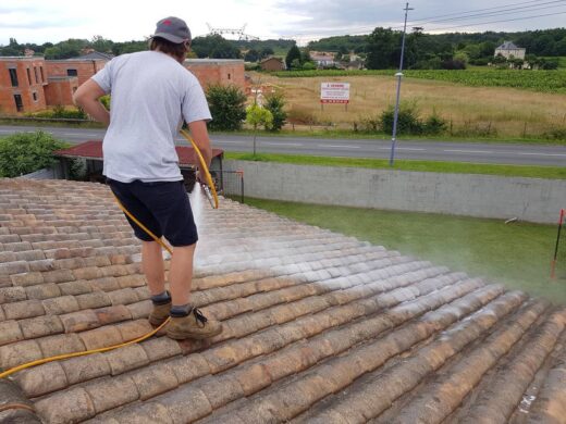 D&#x00E9;mousser&#x20;sa&#x20;toiture&#x20;&#x3A;&#x20;m&#x00E9;thode,&#x20;fr&#x00E9;quence&#x20;et&#x20;prix