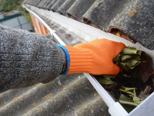 Nettoyer&#x20;ses&#x20;goutti&#x00E8;res&#x20;&#x3A;&#x20;quand,&#x20;comment,&#x20;pourquoi